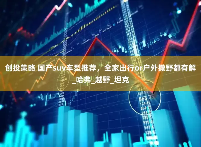 创投策略 国产suv车型推荐，全家出行or户外撒野都有解_哈弗_越野_坦克